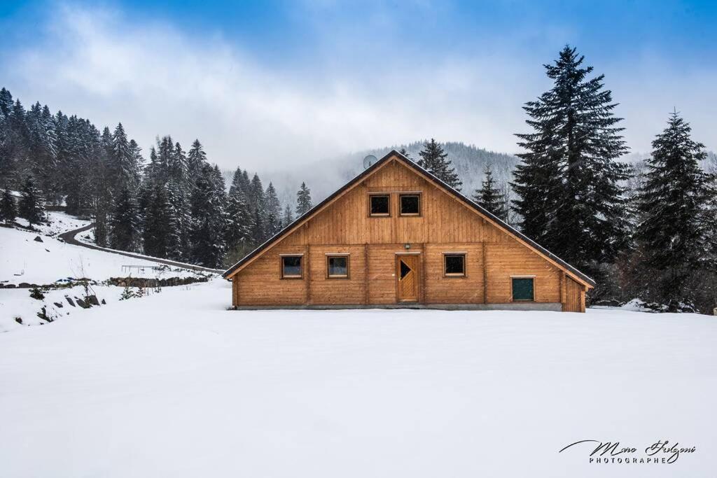 Chalet Charligustine - Gerardmer - 8P Exteriér fotografie